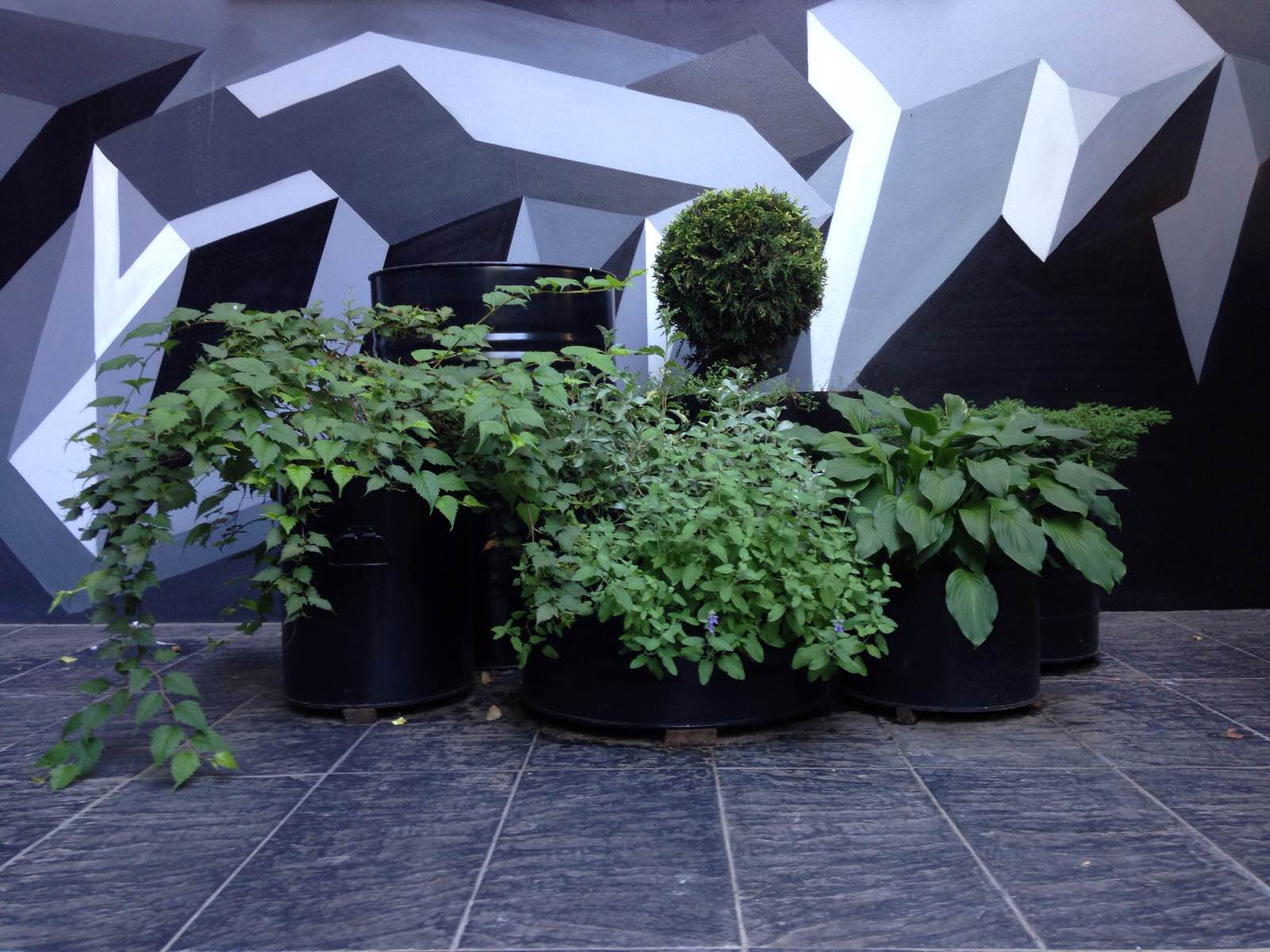 Контейнерное озеленение. Маленький Московский дворик р-н Пушкинской площади