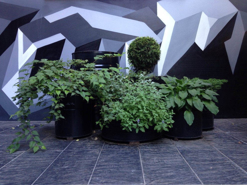 Контейнерное озеленение. Маленький Московский дворик р-н Пушкинской площади