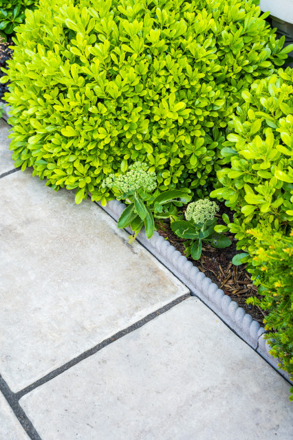 EAST LONDON VICTORIAN FRONT GARDEN DESIGN viktoriansk-have
