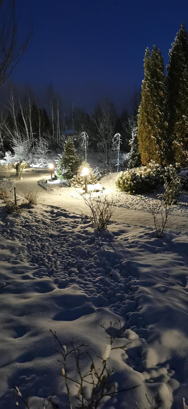 Лесное озеро