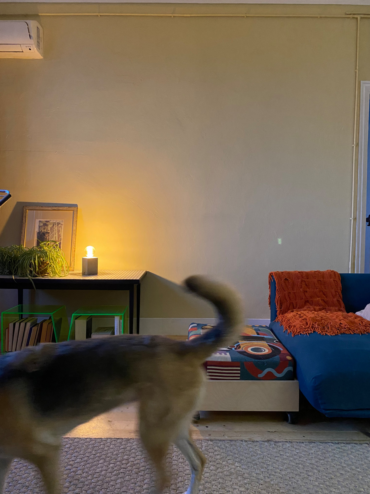 Сталинка на Ленина