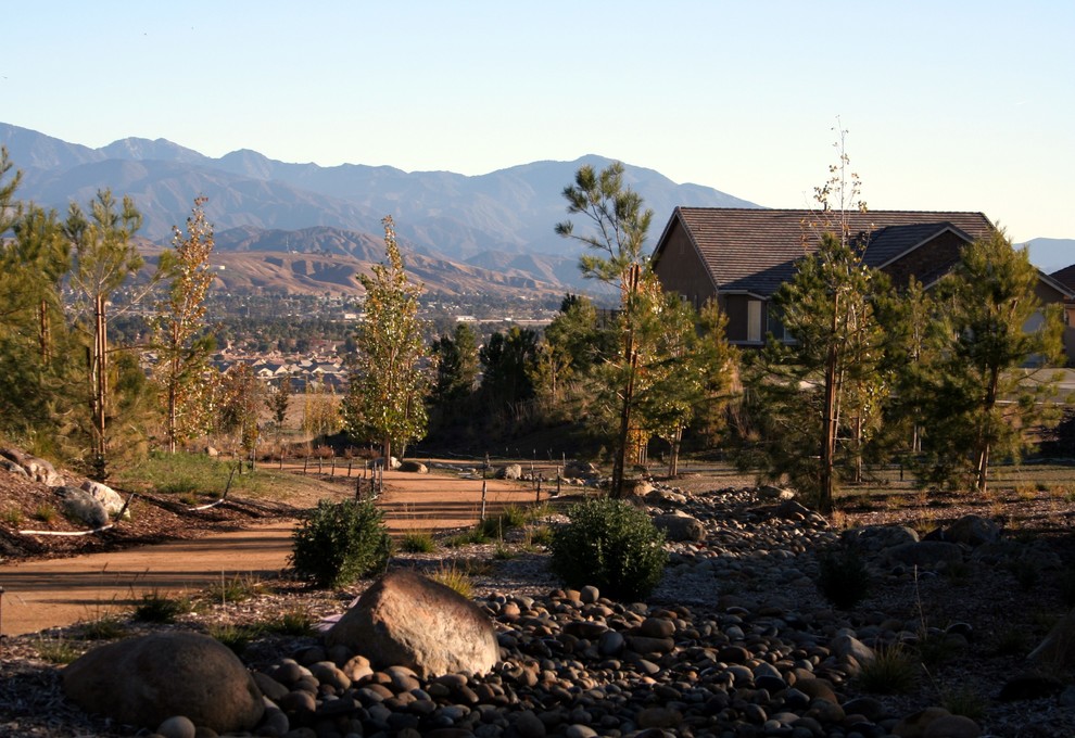 This is an example of a large traditional partial sun backyard gravel driveway.