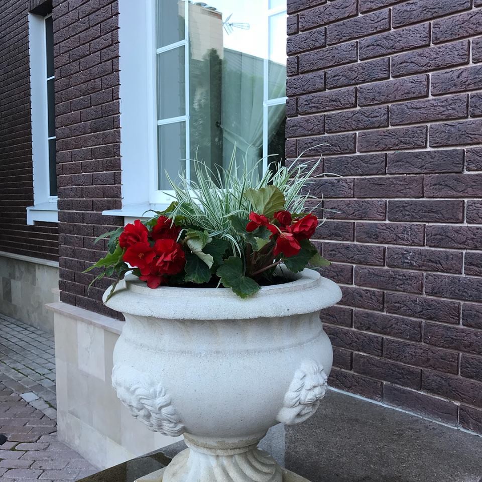 лесная рапсодия