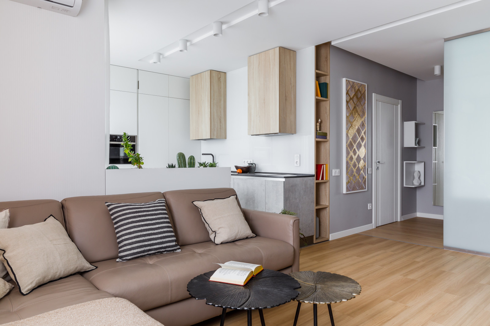 Точка белого(фотографии кухни-гостиной)