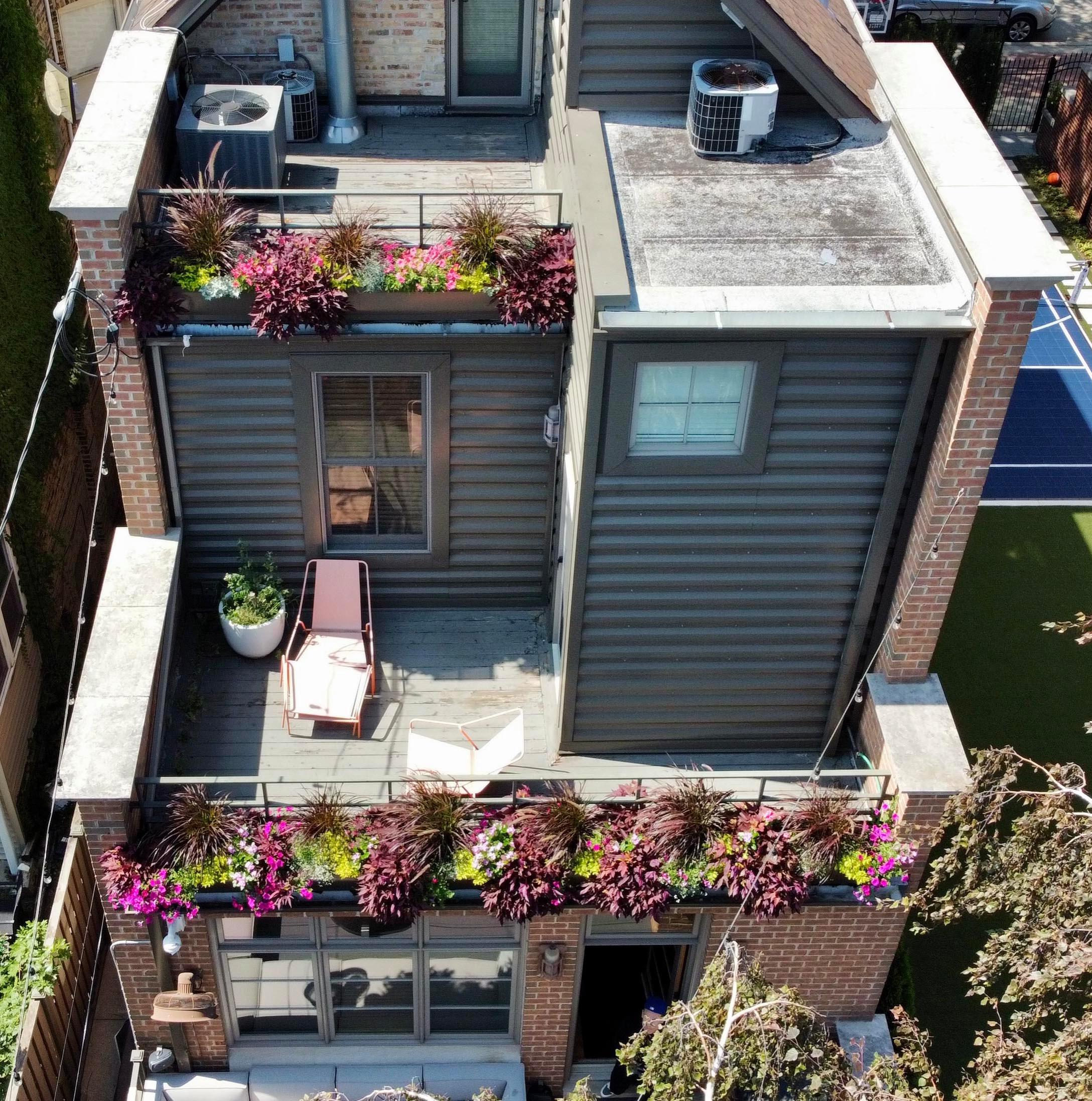 Fine Tuning an Established Garden