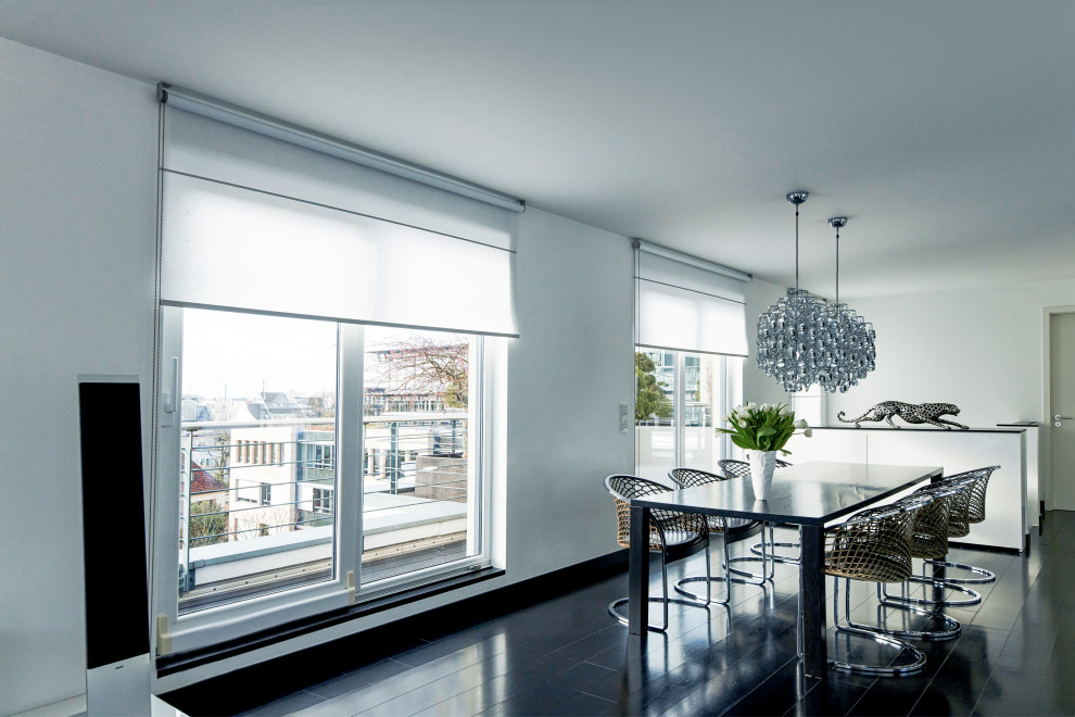 Оконные системы: Rollo Shades