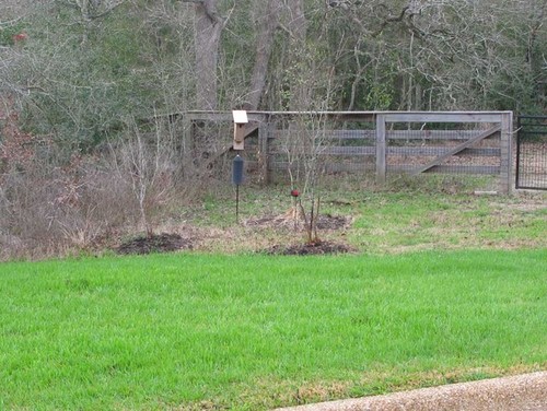 bluebird house placement bluebird house placement