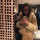 casandra_interiores