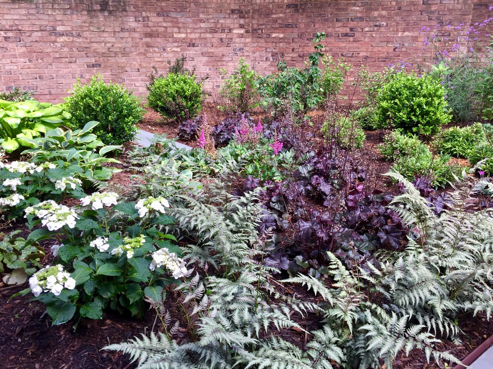 Photo of a transitional garden in Charlotte.