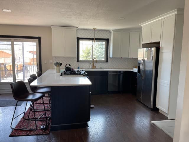 Kitchen Remodel