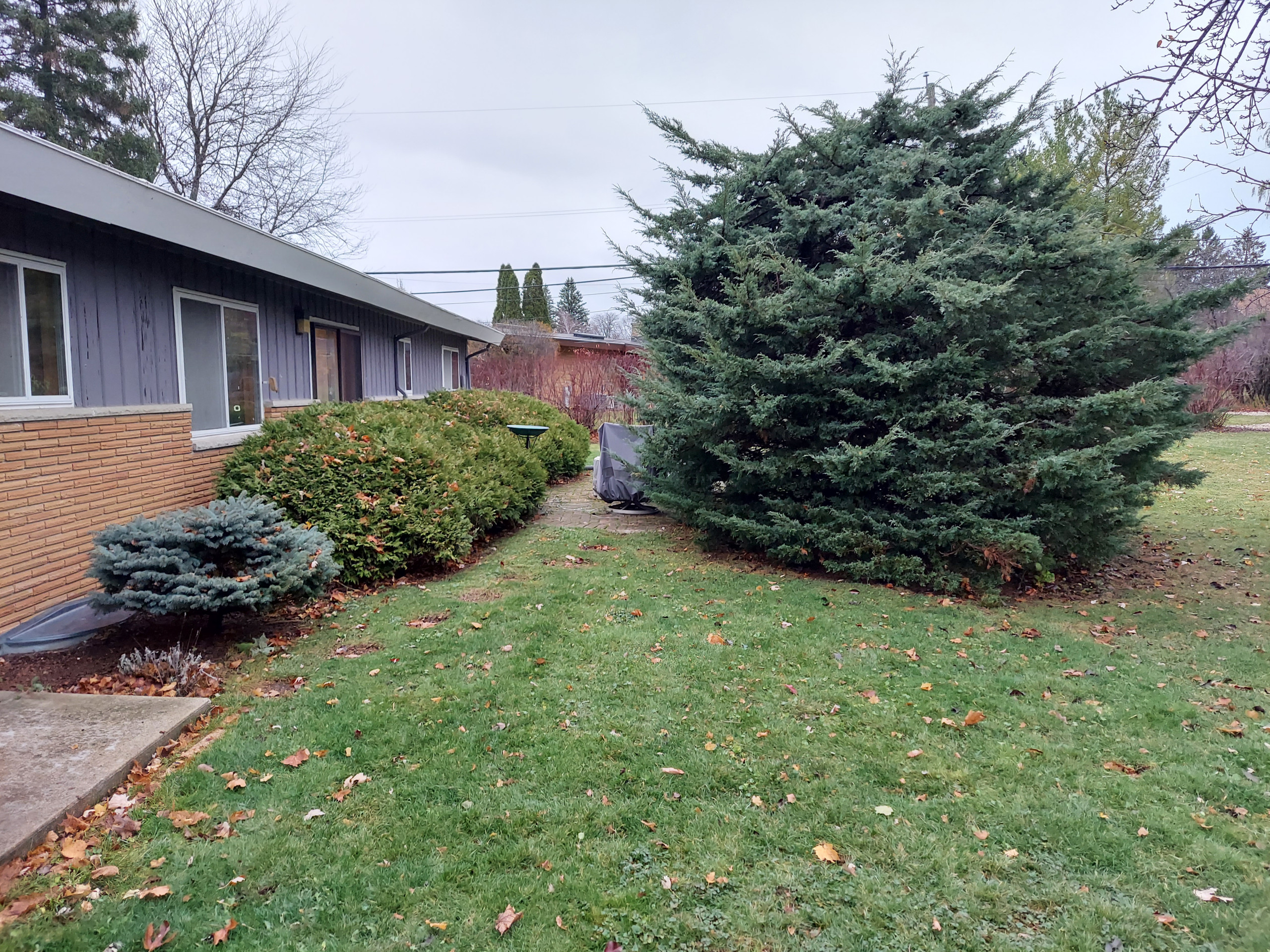 Mid-Century Front + backyard landscape - Fox Point, WI