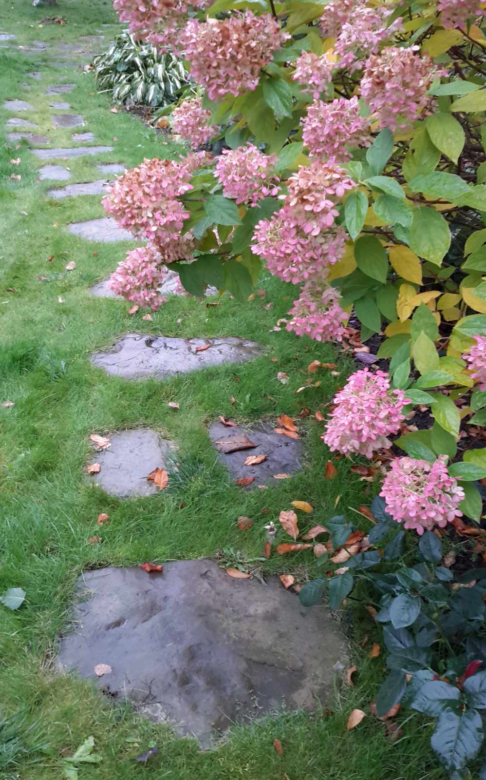 Дорожка из натурального камня "через шаг "