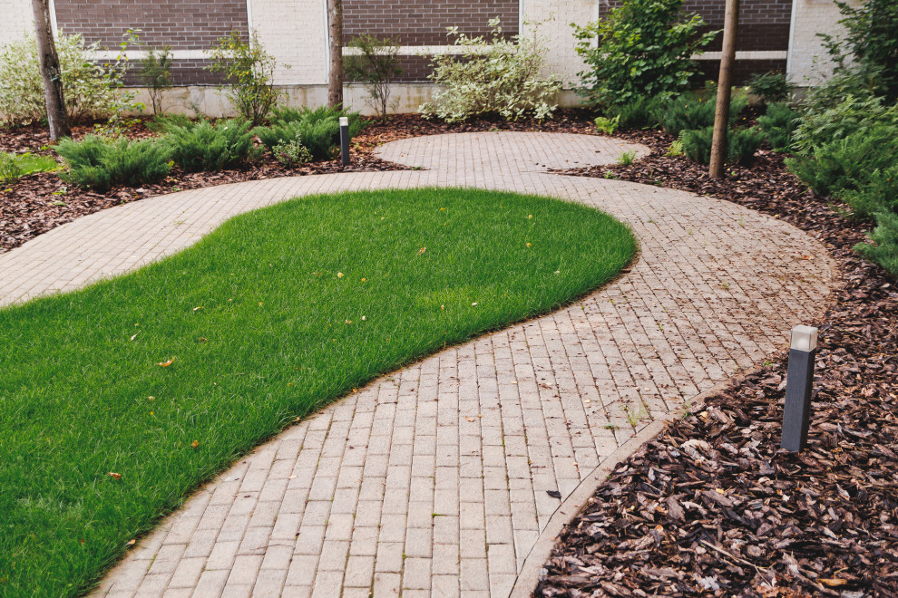 Сад на краю леса