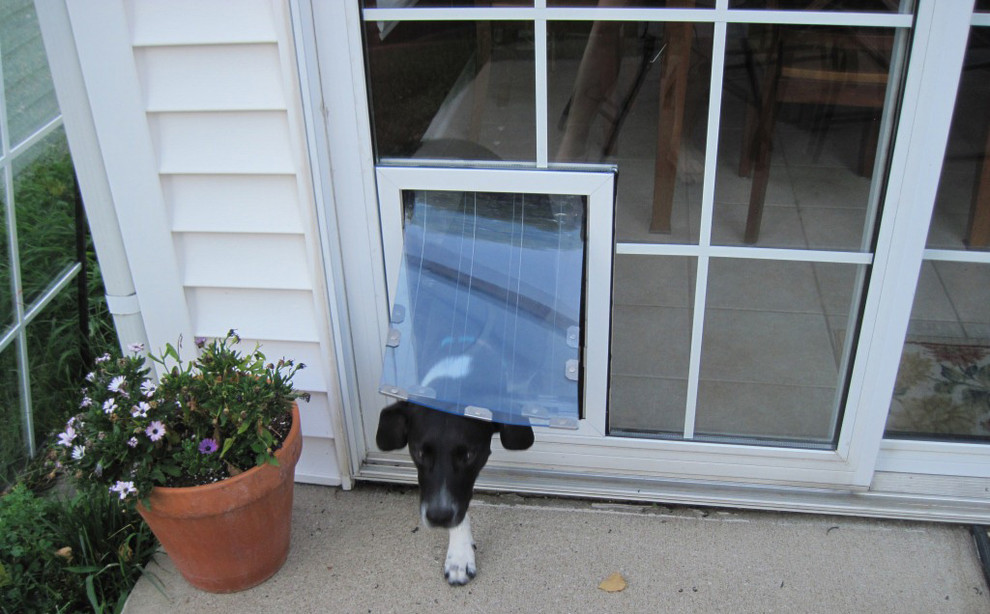 Custom Dog Doors Sacramento by The Glass Guru Houzz