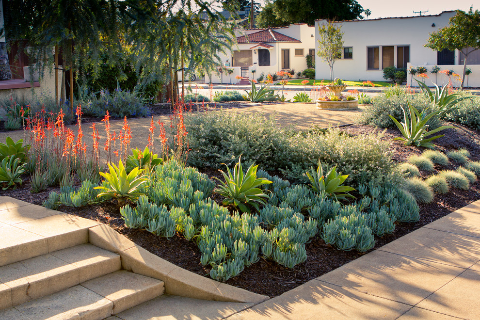 This is an example of a transitional garden in Los Angeles.