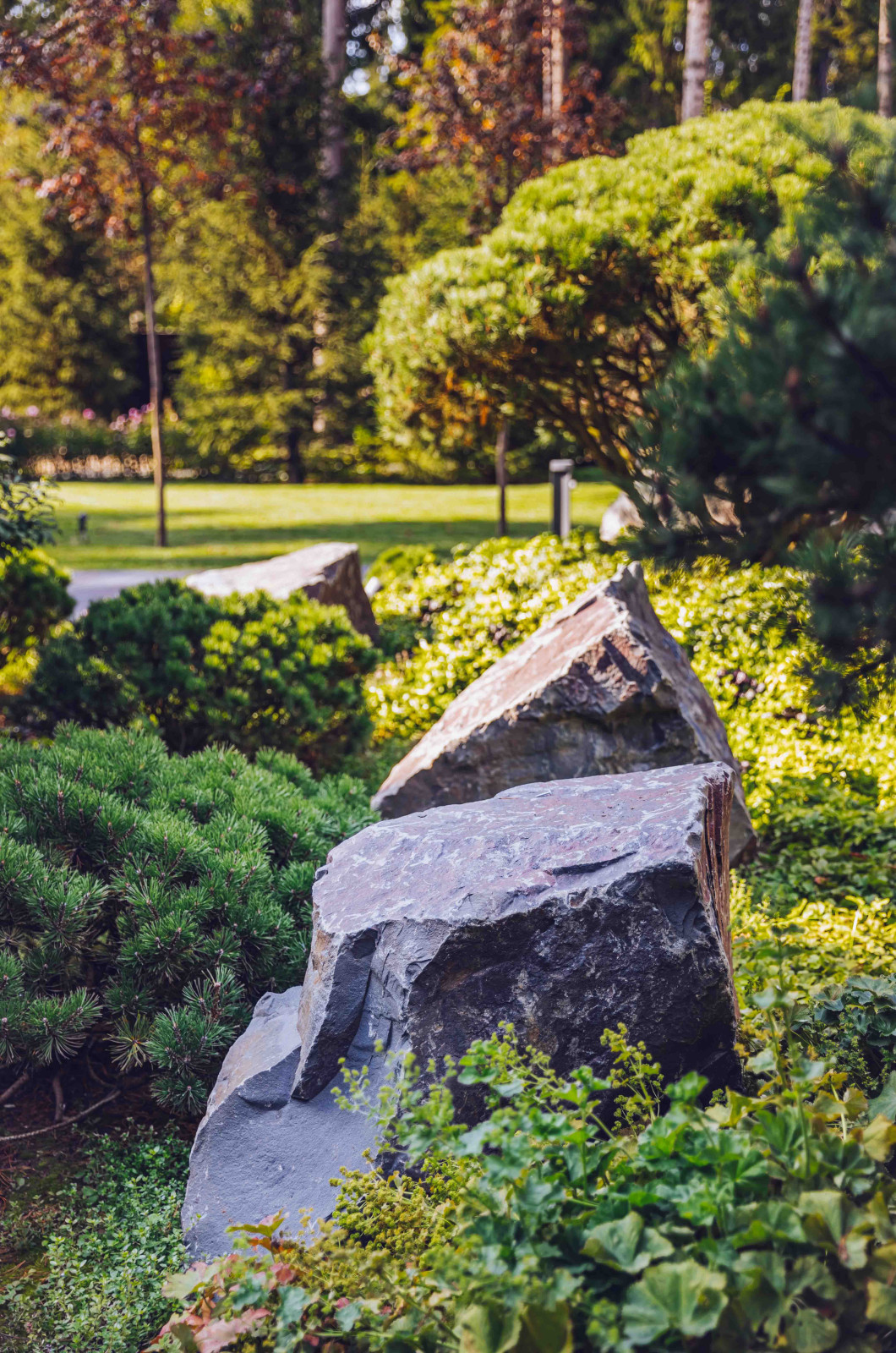 Архитектурное Решение в Пейзажном Стиле