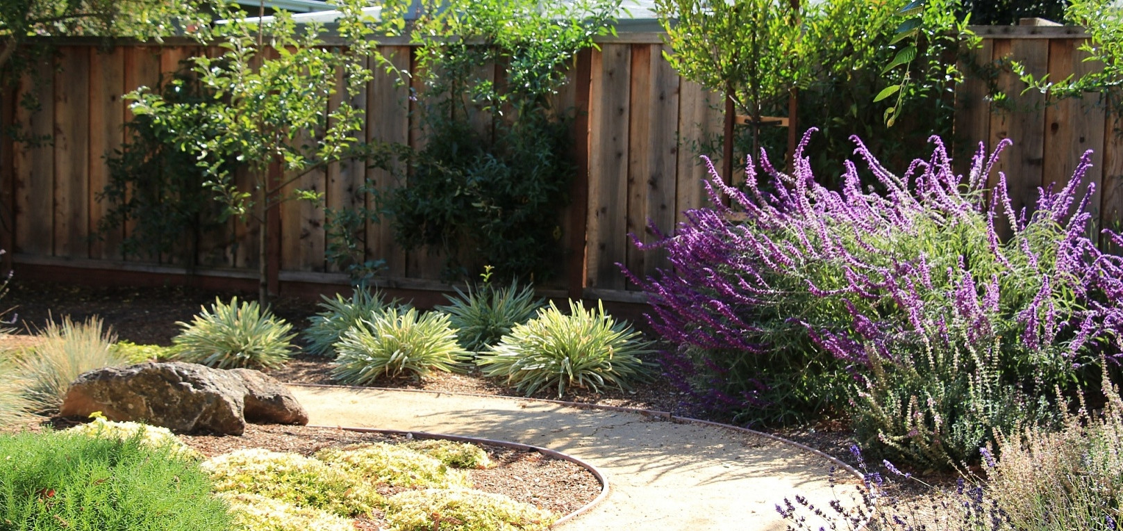 Vivide colors garden