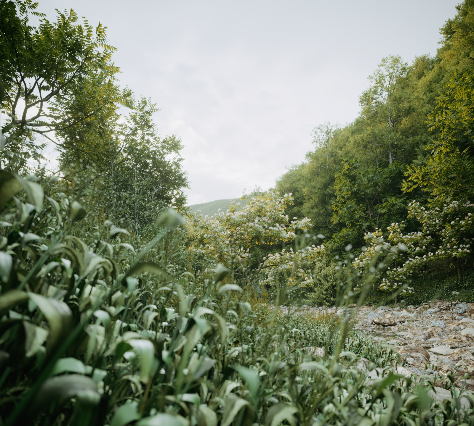 Дом в Грузии