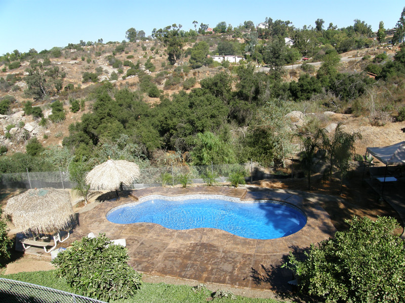 Backyard stone and custom-shaped pool photo