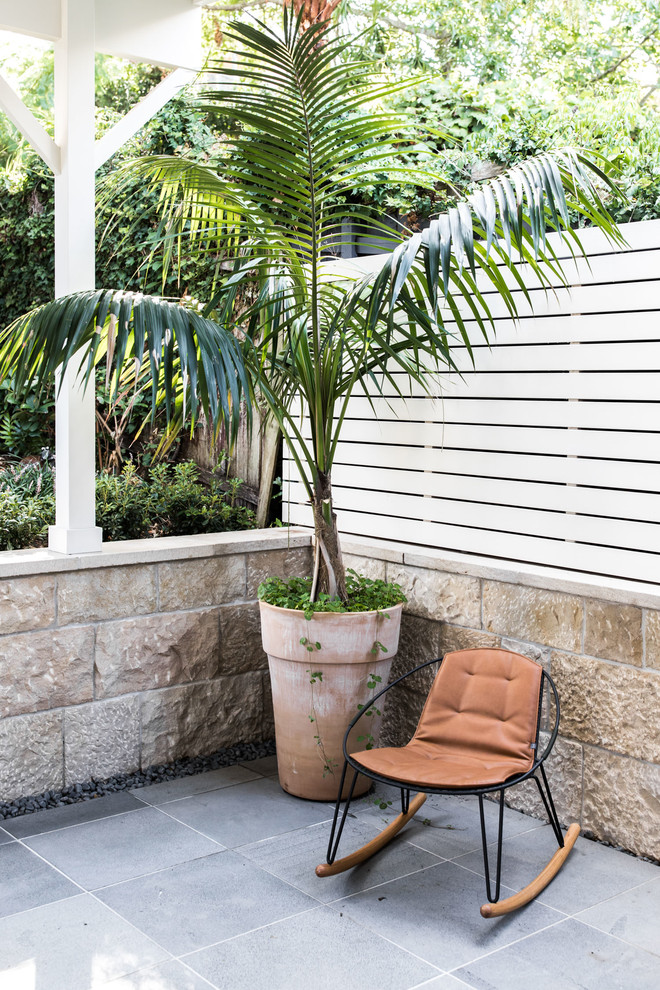 Inspiration for a mid-sized contemporary backyard patio in Sydney with tile and a pergola.