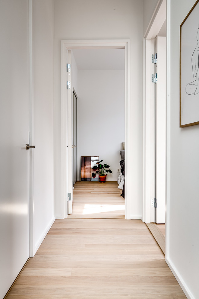 Inspiration för moderna hallar