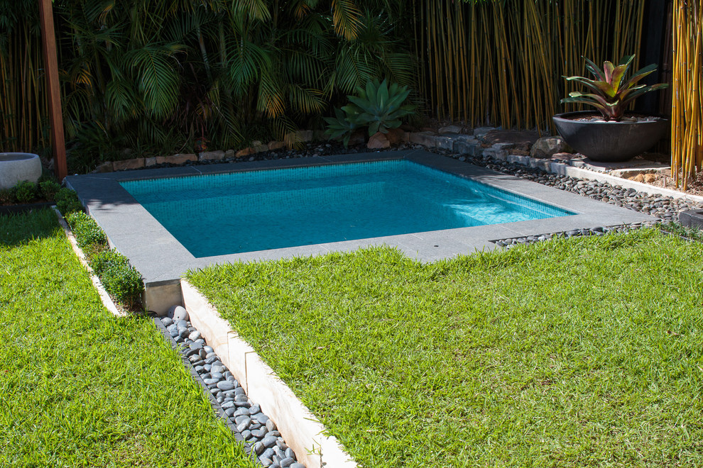 Photo of a small modern backyard rectangular pool in Sydney with concrete pavers.