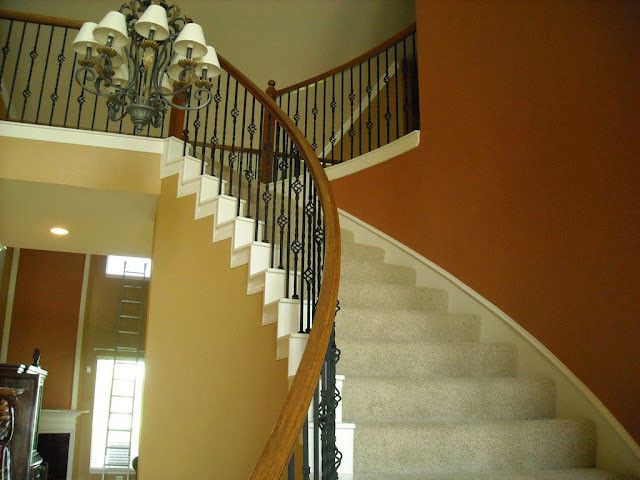 Photo of a mid-sized transitional carpeted curved staircase in Houston with carpet risers.