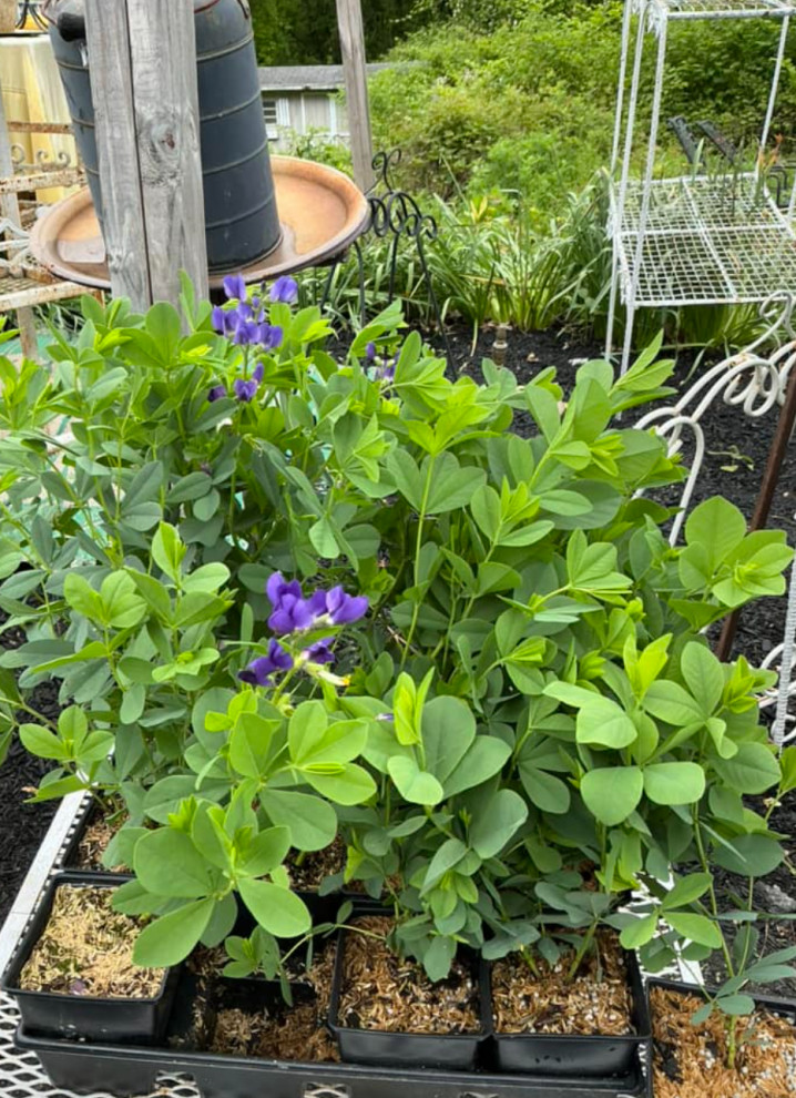 Love Your Garden