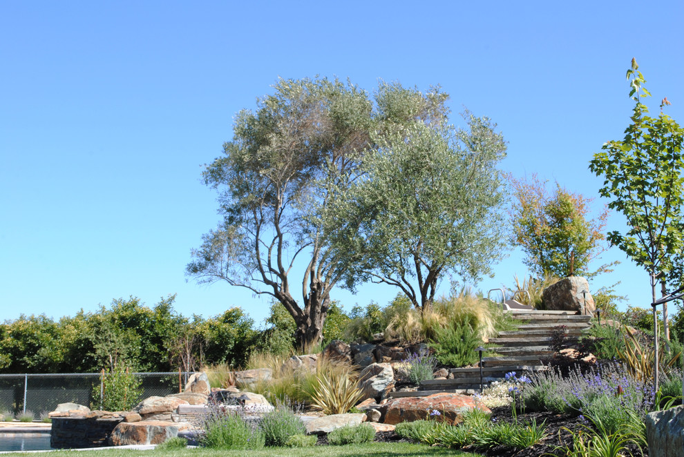 Design ideas for a traditional landscaping in Sacramento.