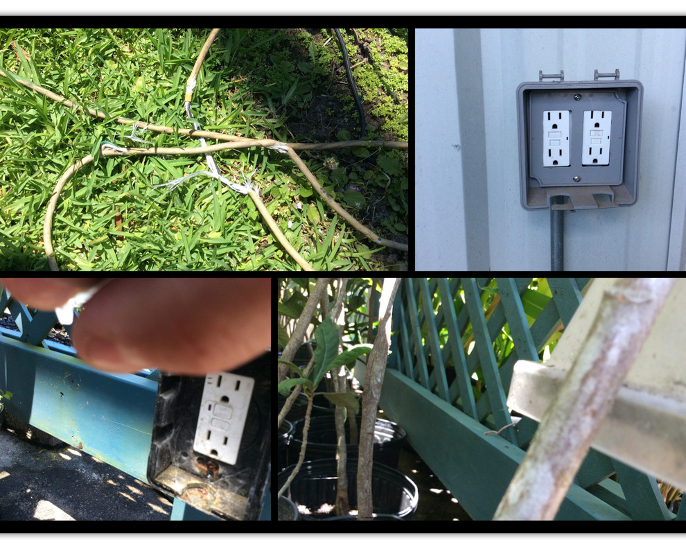 Texas Best Nursery Revitalization