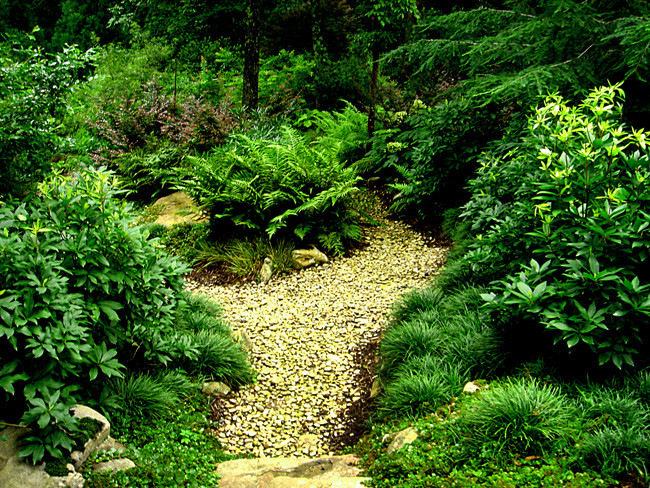 This is an example of a transitional landscaping in Atlanta.