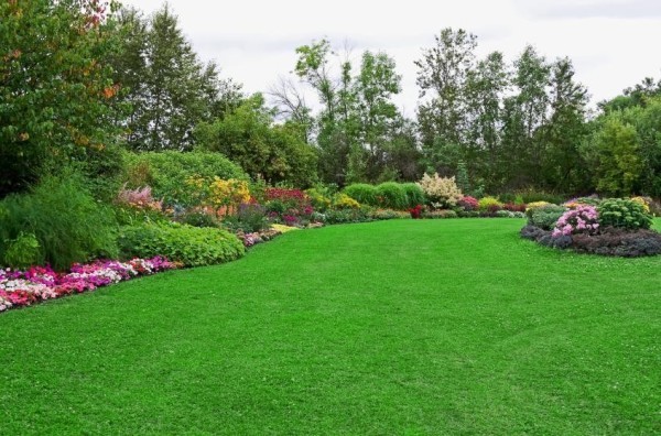 Landscape Grounds maintained by  Peter Atkins and Associates, LLC