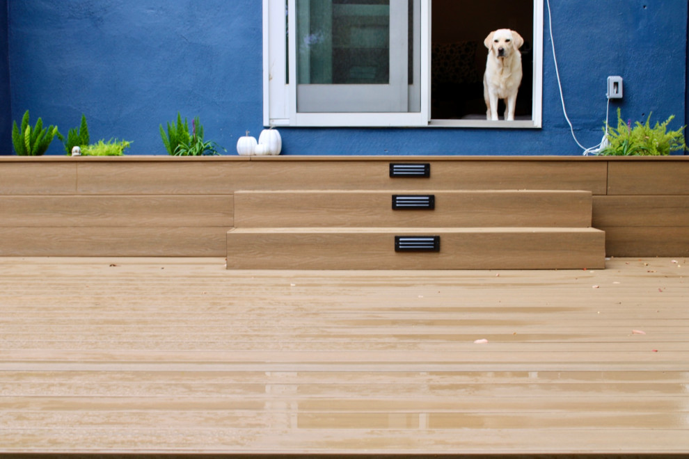 Cosy San Carlos Backyard