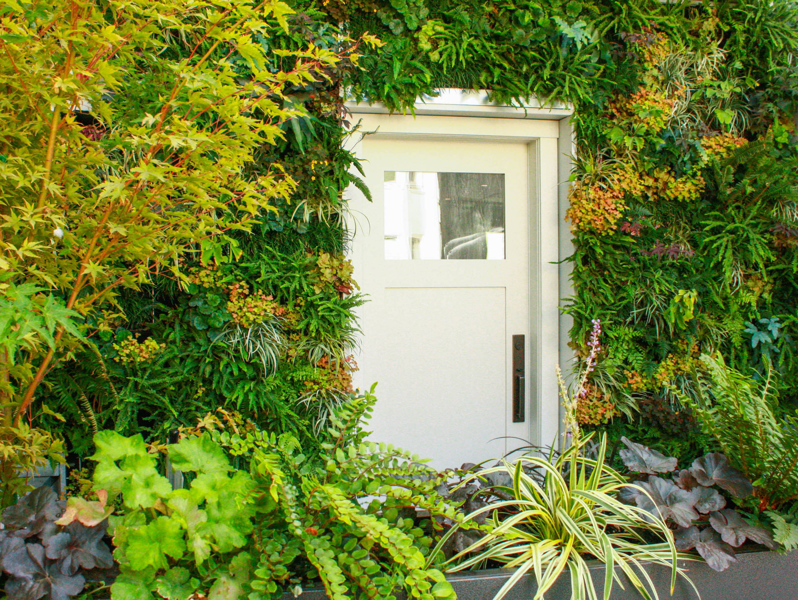 Bring More Green to Your Patio or Side Yard With a Living Wall