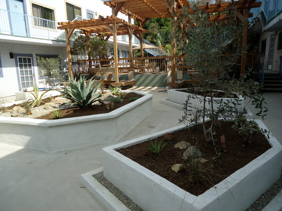 Photo of a large tropical backyard partial sun xeriscape in Los Angeles.