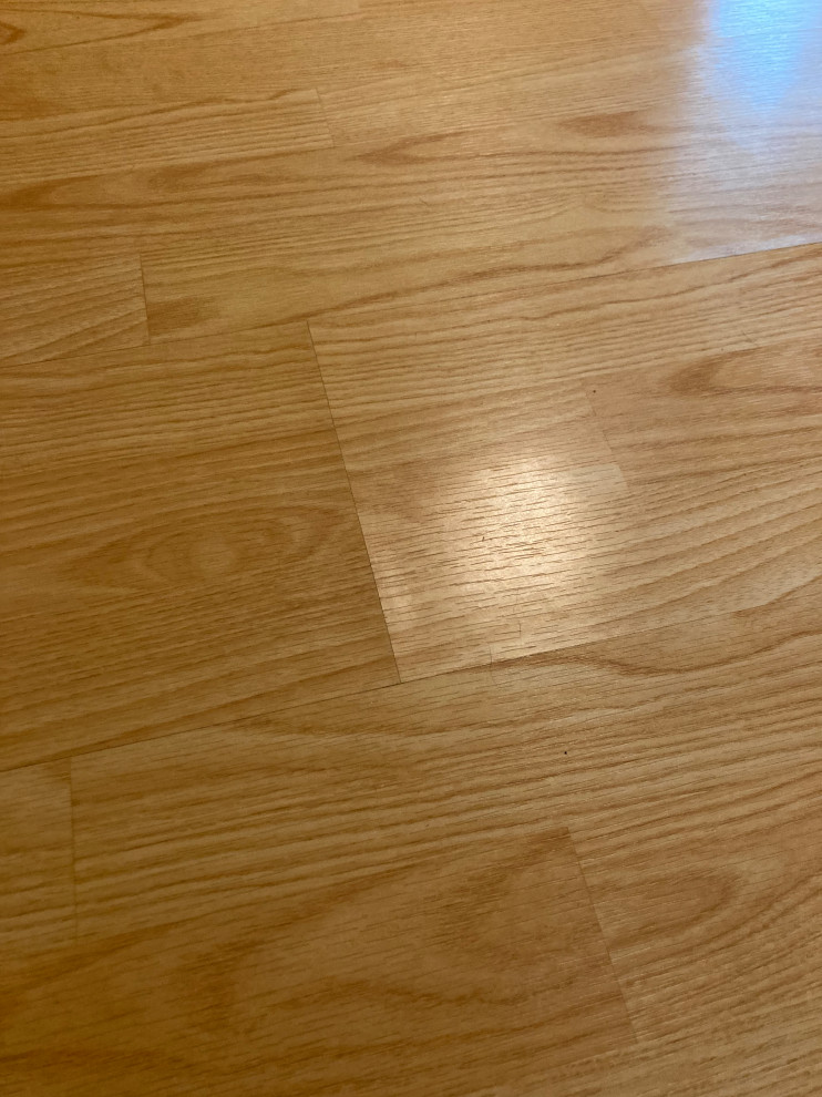 Wood Floor Cupping from Water