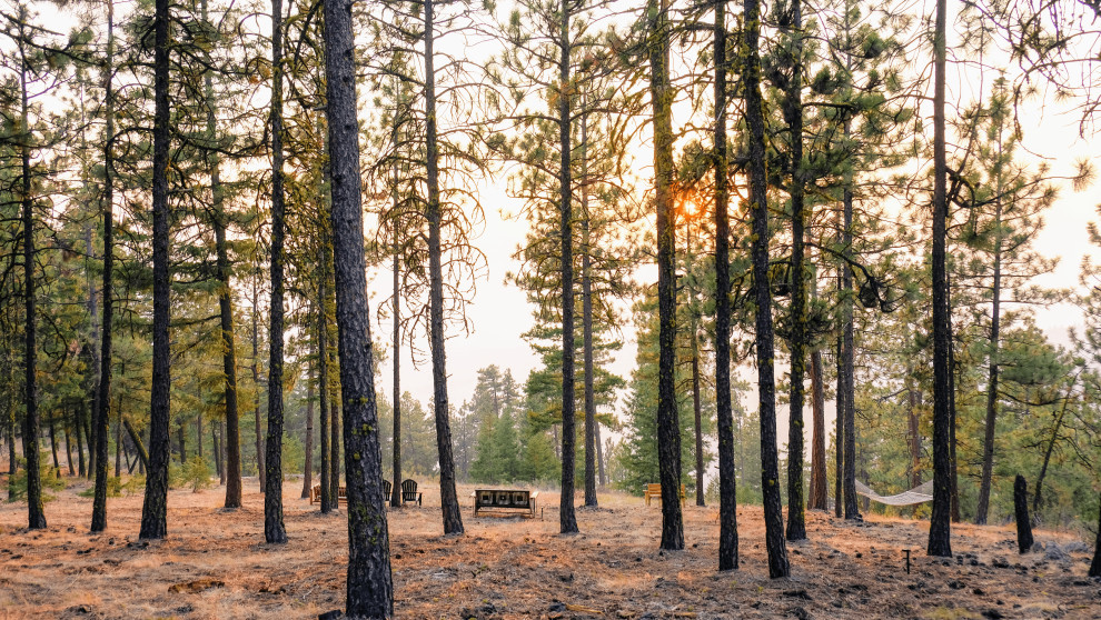Wedding Design in the Forests of Chelan, WA