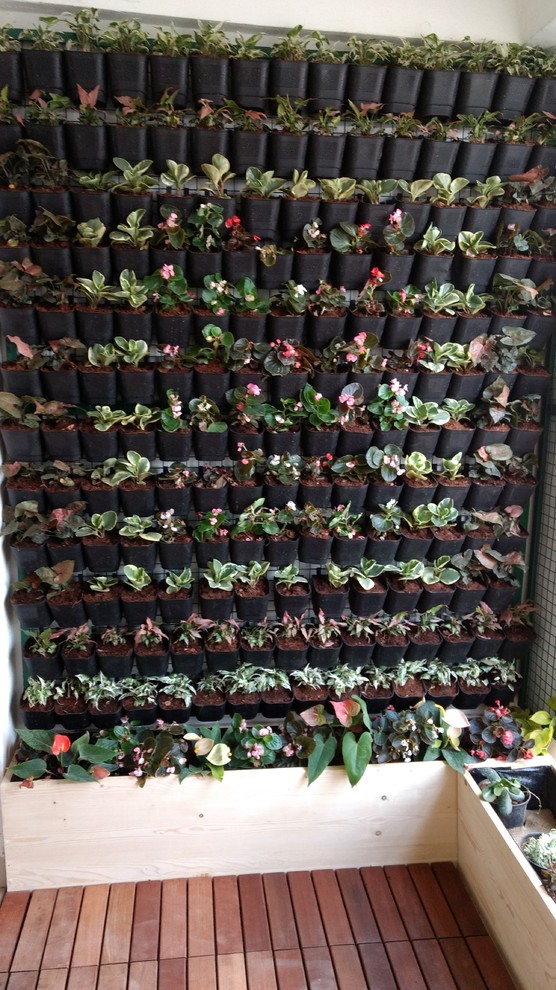Inspiration for an Indian terrace & balcony in Bengaluru.