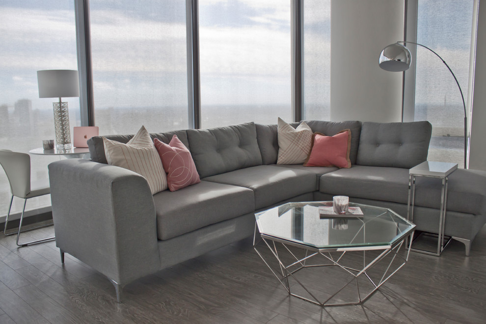 Style in the South Loop - Modern - Living Room - Chicago - by Esslinger ...
