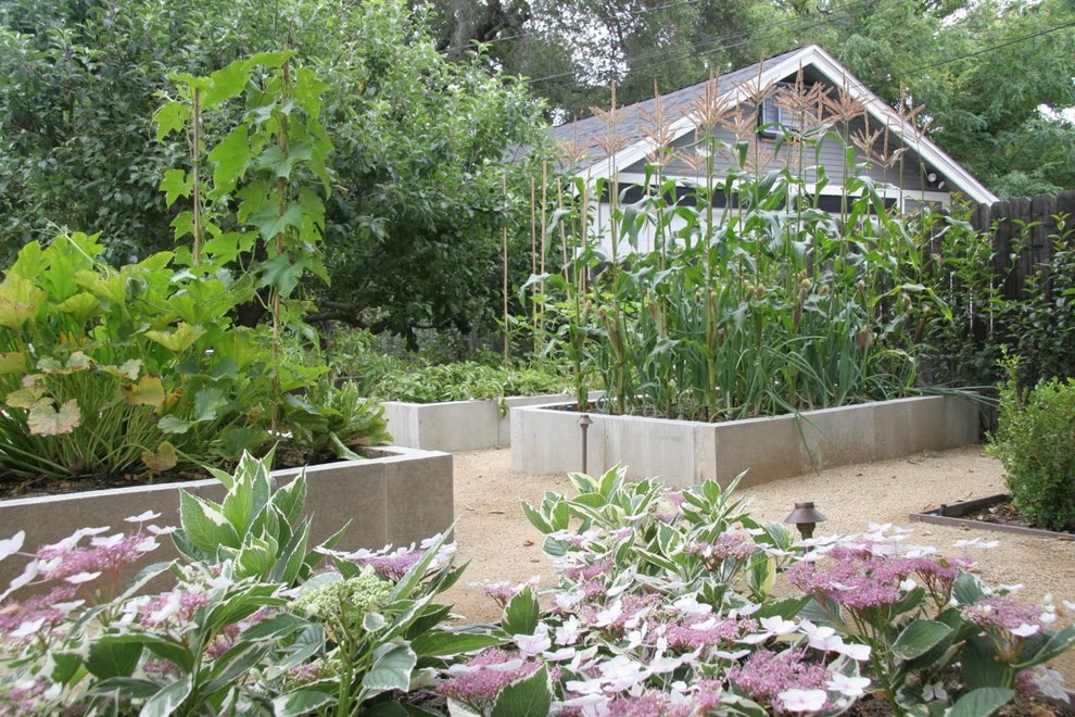 Photo of a traditional backyard garden in Los Angeles with a vegetable garden.