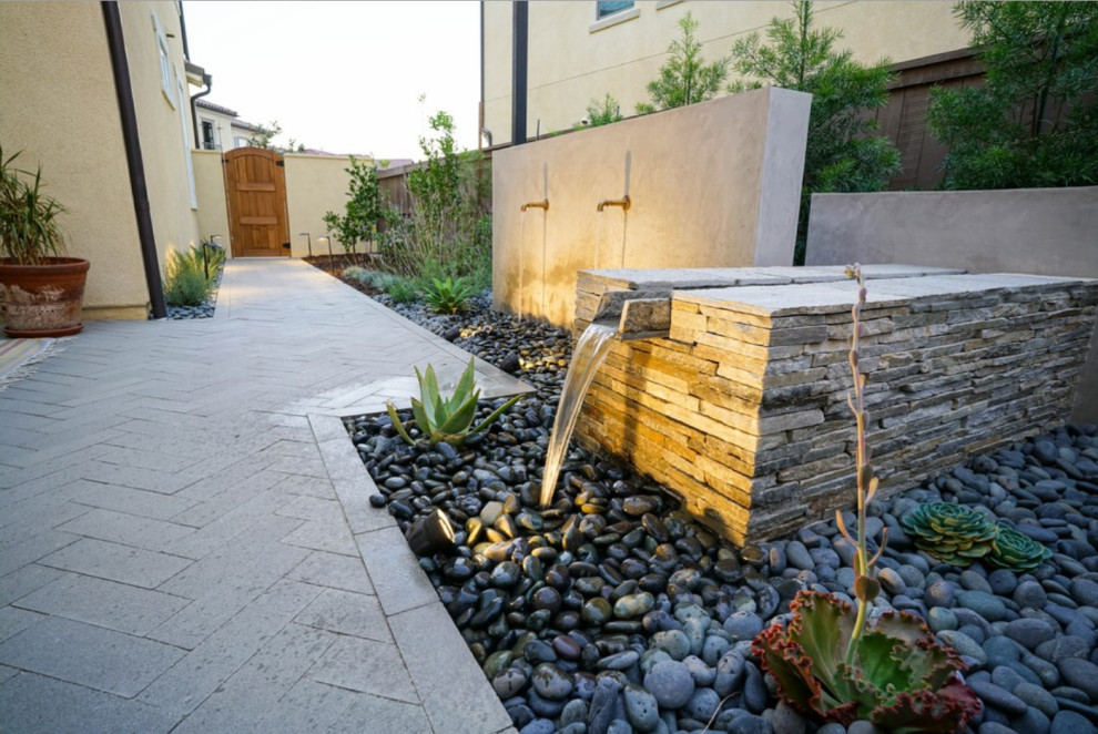 Foto de jardín de secano actual pequeño en patio trasero con fuente, exposición parcial al sol y adoquines de hormigón