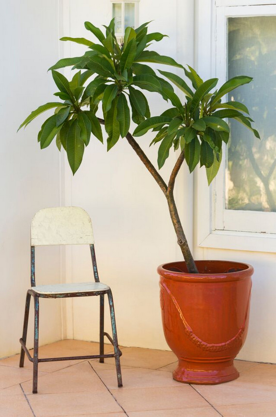 Photo of an eclectic patio in Perth.