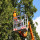 Rolling Hills Tree Services