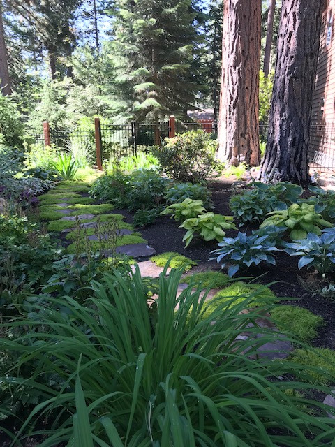 Lake Tahoe Landscape Designs