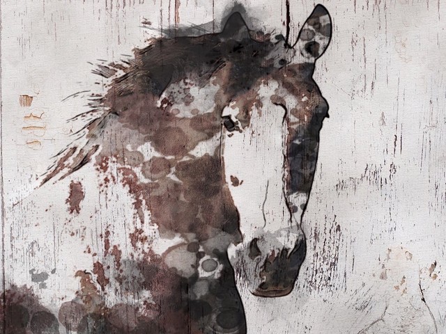 Gorgeous Horse Canvas Print By Irena Orlov Farmhouse Prints And Gorgeous Horse Canvas Print By Irena Orlov