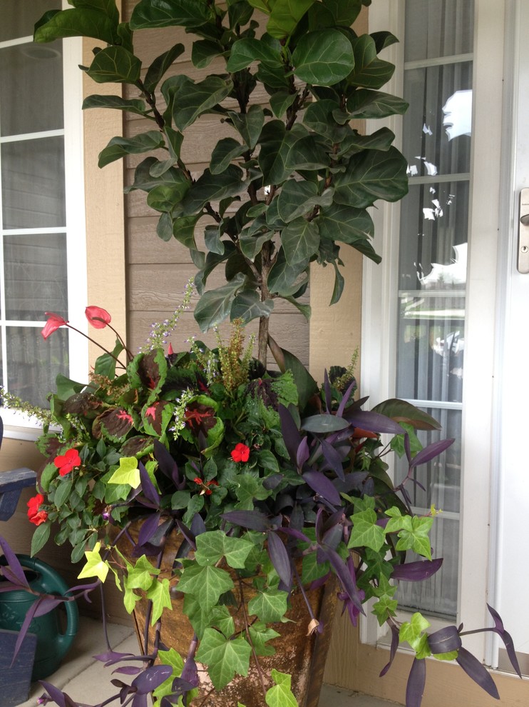 This is an example of a small traditional garden in Omaha with a container garden.