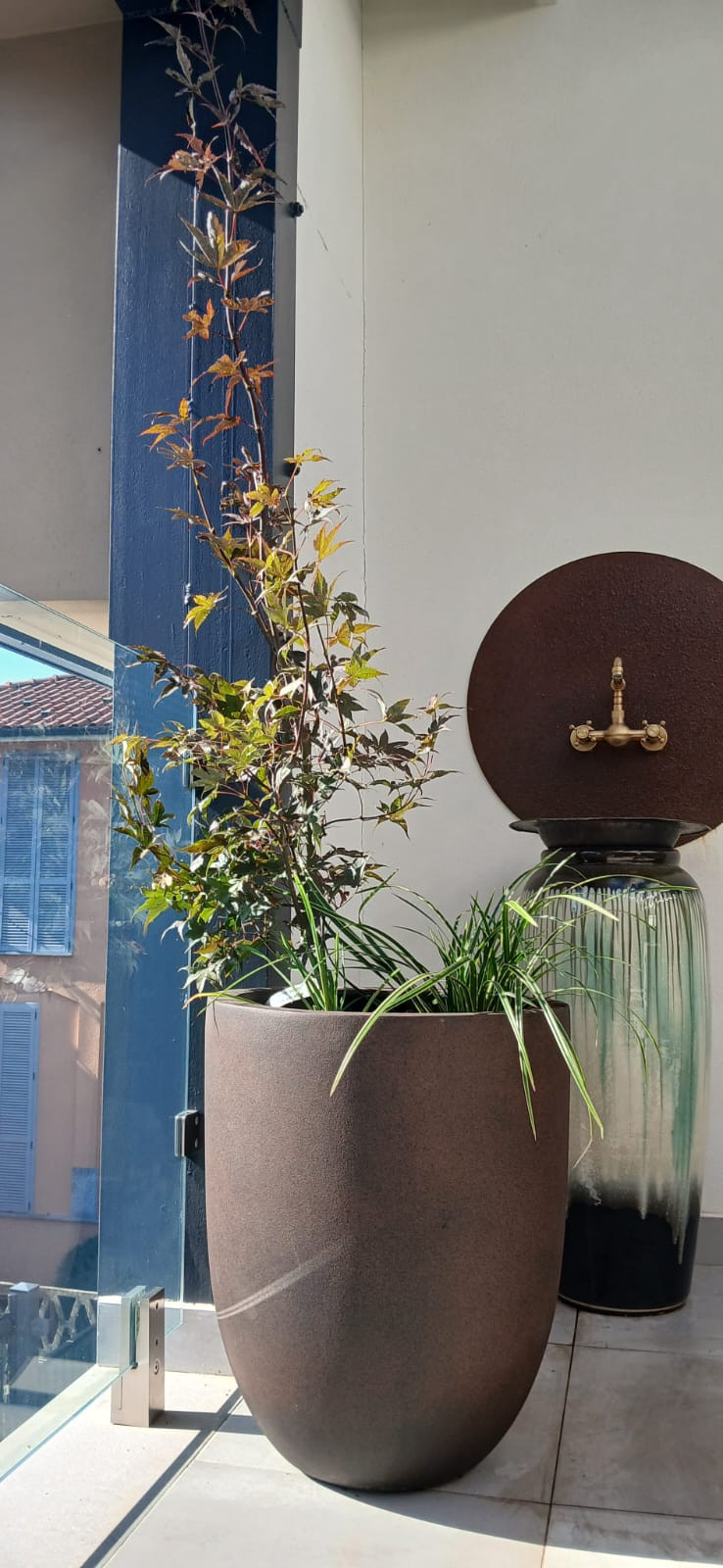 Realizzazione Wild in the city