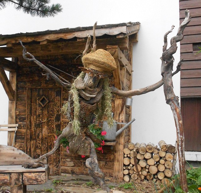 Rasta garden campagne-photographie