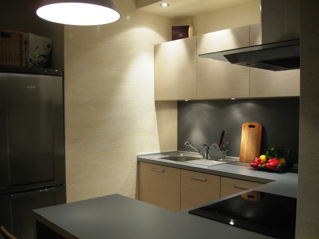 Kitchen contemporary-kitchen