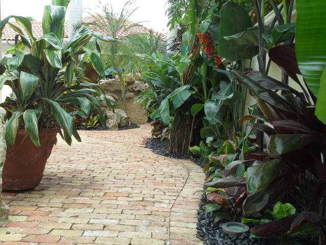 Photo of a large tropical courtyard partial sun garden in Tampa with a water feature and gravel.